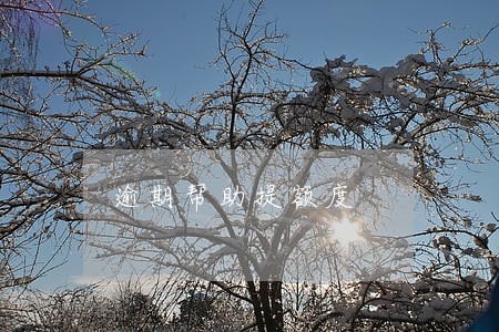 逾期帮助提额度 逾期帮助提额度