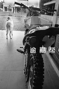 逾期帮忙协商延期的平台靠谱么 逾期帮忙协商延期的平台靠谱么