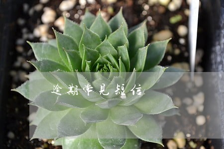 逾期常见短信 逾期常见短信