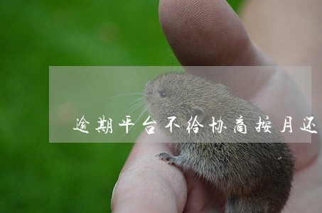 逾期平台不给协商按月还 逾期平台不给协商按月还