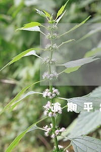 逾期平台不肯协商 逾期平台不肯协商
