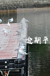 逾期平台信息 逾期平台信息