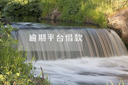 逾期平台借款 逾期平台借款