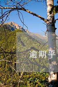 逾期平台债权转让 逾期平台债权转让