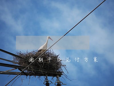 逾期平台兑付方案