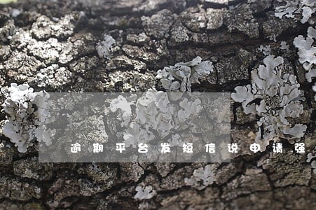 逾期平台发短信说申请强制追缴 逾期平台发短信说申请强制追缴