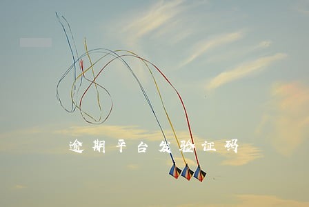 逾期平台发验证码 逾期平台发验证码
