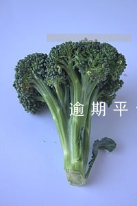 逾期平台可以上门吗 逾期平台可以上门吗