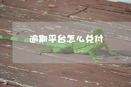 逾期平台怎么兑付 逾期平台怎么兑付