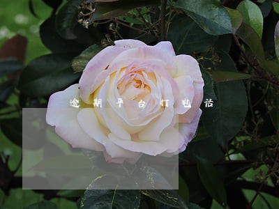 逾期平台打电话 逾期平台打电话