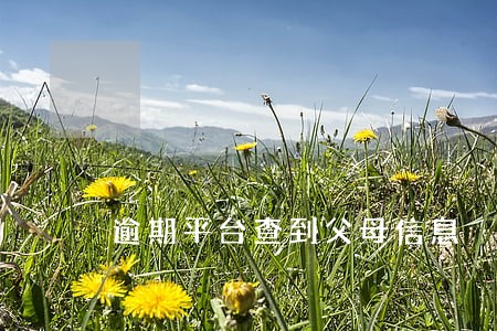 逾期平台查到父母信息 逾期平台查到父母信息