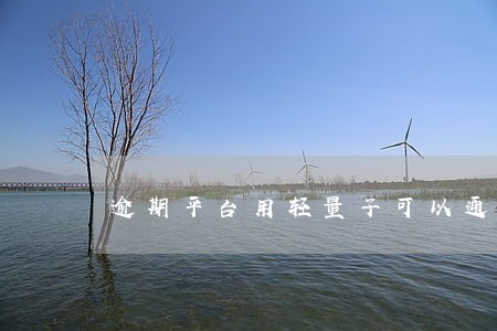 逾期平台用轻量子可以通过吗 逾期平台用轻量子可以通过吗