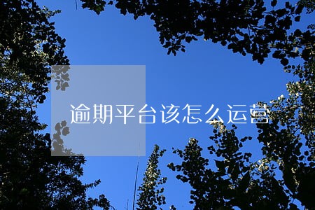 逾期平台该怎么运营 逾期平台该怎么运营
