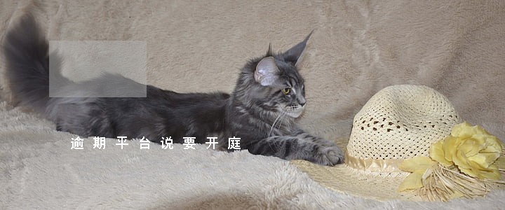 逾期平台说要开庭 逾期平台说要开庭
