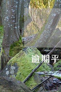逾期平台还有救吗6 逾期平台还有救吗6