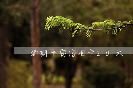 逾期平安信用卡20天 逾期平安信用卡20天