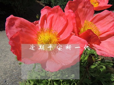 逾期平安新一代 逾期平安新一代