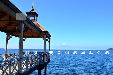 逾期平安普惠退息怎么退 逾期平安普惠退息怎么退