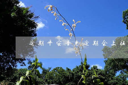逾期平安普惠逾期会上征信么 逾期平安普惠逾期会上征信么
