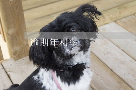 逾期年利率 逾期年利率