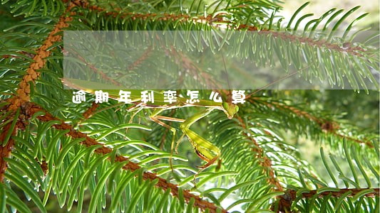 逾期年利率怎么算 逾期年利率怎么算