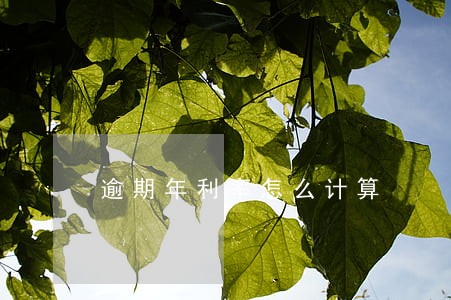 逾期年利率怎么计算 逾期年利率怎么计算