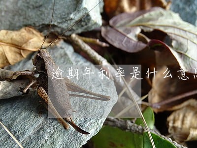 逾期年利率是什么意思 逾期年利率是什么意思
