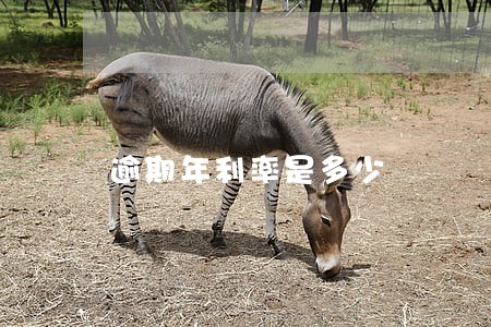 逾期年利率是多少