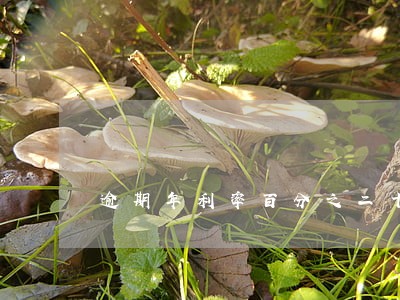 逾期年利率百分之二十四是多少 逾期年利率百分之二十四是多少