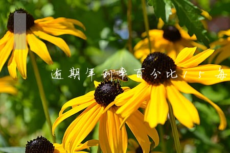 逾期年利率百分比15每天多少