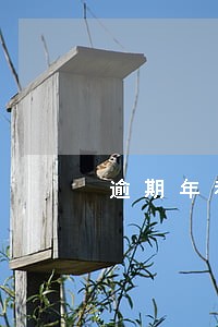 逾期年利率违约年利率 逾期年利率违约年利率