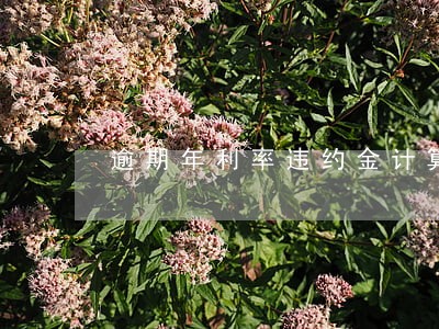 逾期年利率违约金计算公式 逾期年利率违约金计算公式