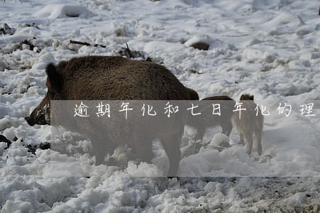 逾期年化和七日年化的理财产品