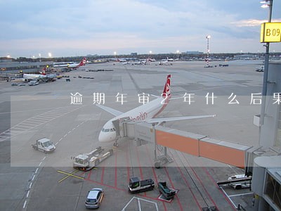 逾期年审2年什么后果 逾期年审2年什么后果