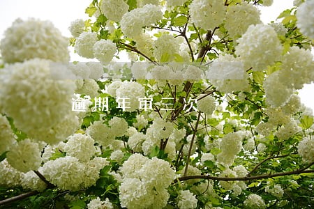 逾期年审三次 逾期年审三次