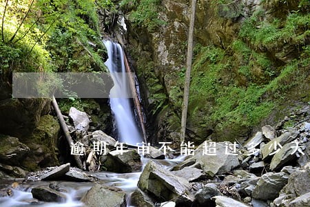 逾期年审不能超过多少天 逾期年审不能超过多少天