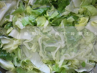 逾期年审两个周期怎么处罚 逾期年审两个周期怎么处罚