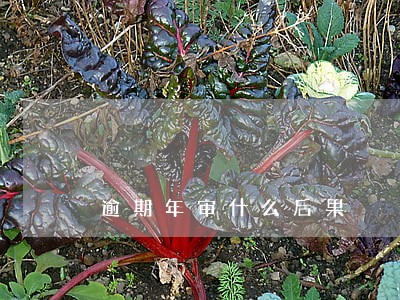 逾期年审什么后果 逾期年审什么后果