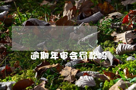 逾期年审会罚款吗 逾期年审会罚款吗