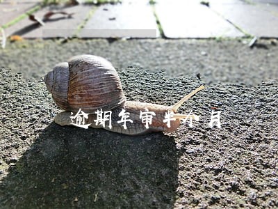 逾期年审半个月 逾期年审半个月