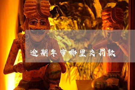 逾期年审哪里交罚款 逾期年审哪里交罚款
