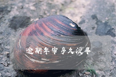 逾期年审多久没事 逾期年审多久没事