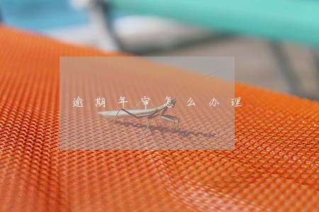 逾期年审怎么办理 逾期年审怎么办理