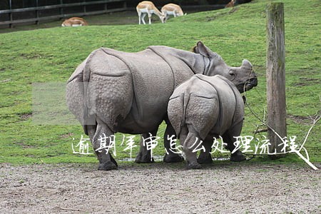 逾期年审怎么处理流程 逾期年审怎么处理流程