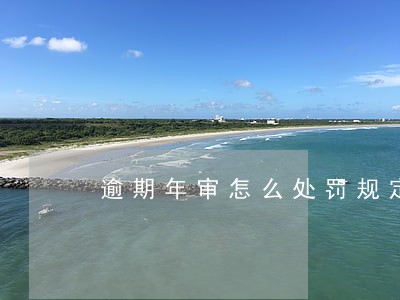 逾期年审怎么处罚规定 逾期年审怎么处罚规定