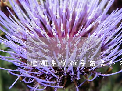 逾期年审扣车需要补交保险吗 逾期年审扣车需要补交保险吗