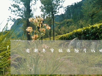 逾期年审报保险可以吗