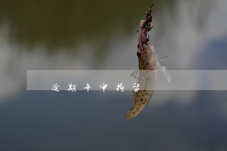 逾期年审拘留 逾期年审拘留