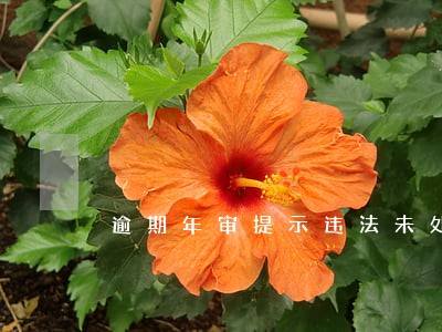 逾期年审提示违法未处理