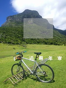 逾期年审有什么后果 逾期年审有什么后果